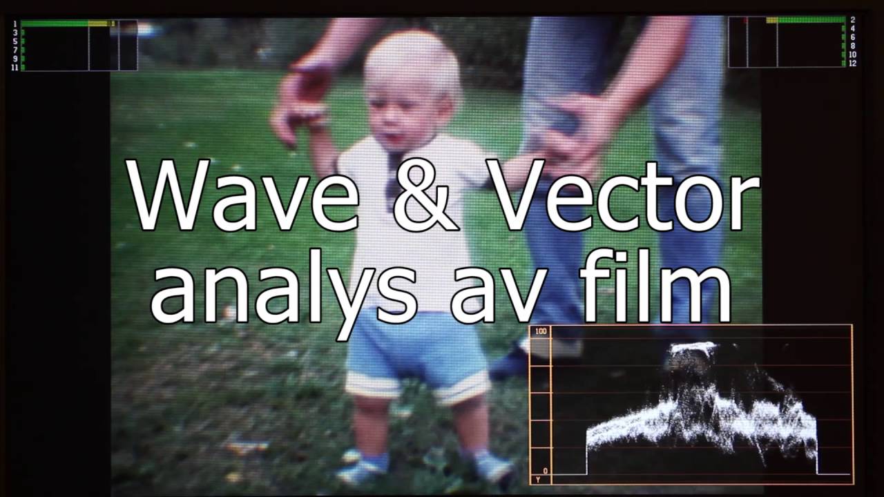 HDSCAN - Filmtransfer service