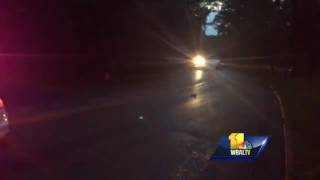Video: Tree falls on car, killing girl in Lutherville