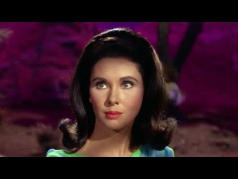 Video: Elinor Donahue Čistá hodnota: Wiki, vydatá, rodina, svadba, plat, súrodenci