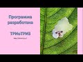 Презентация программы «Развитие творческого, изобретательского мышления у школьников»