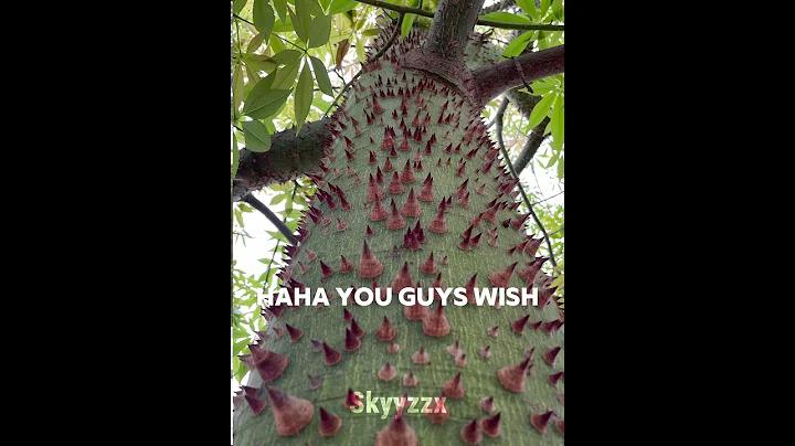 Lepidodendron tree... #shorts #capcut