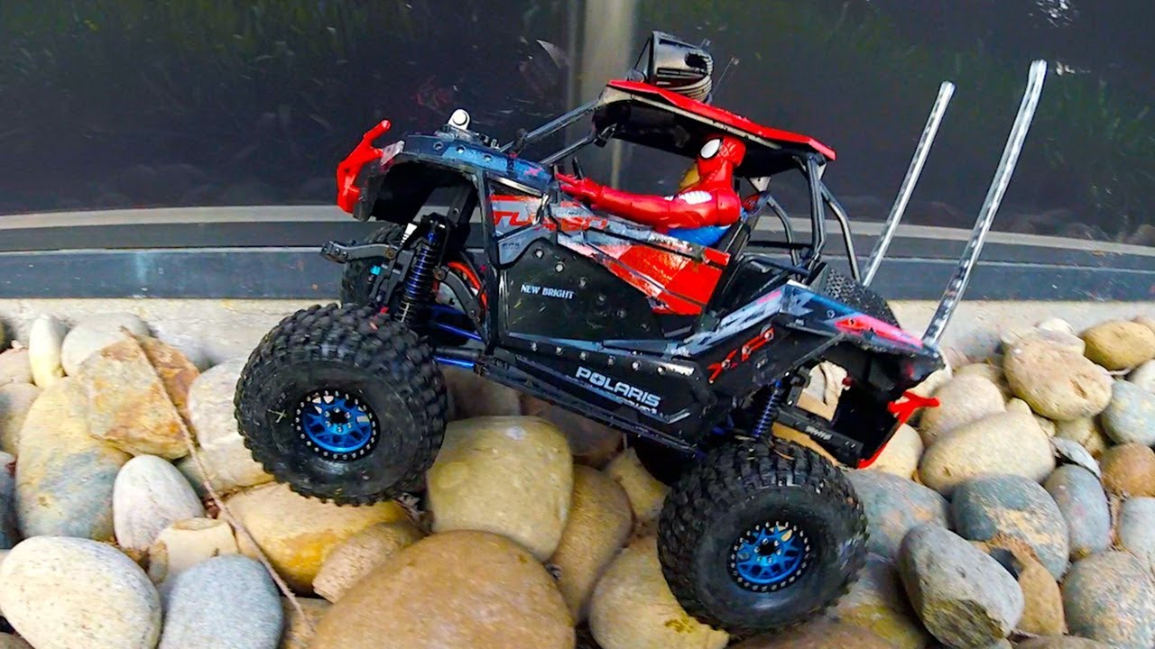 rc polaris rzr