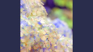 Spirited Ambience for Sweet Clouds