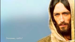 Fratele Caroi - Nui nimeni pe acest pamant (2016)