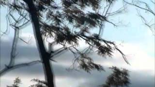 20101028 08 12 33