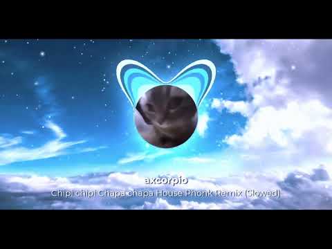 Chipi chipi Chapa chapa House Phonk Remix (Slowed)
