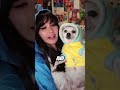 Don’t disrespect squirtle