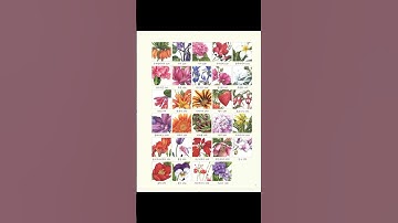 Botanical Art with Colored Pencils - Korean Drawing Guide Book #botanicaldrawing