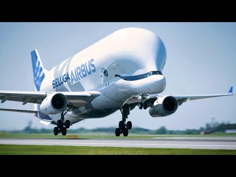 TOUCH & GO's! Airbus Beluga XL in Copenhagen Airport