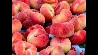 Ləzzətli Şaftali Cemi̇. Şeftali Marmelatı Tarifi.персиковое Варенье Мой Вариант Приготовления