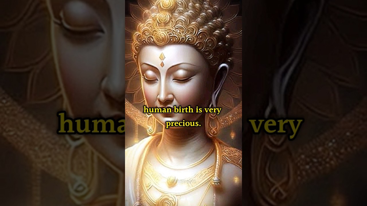 You Can Change Your Future - Buddha 