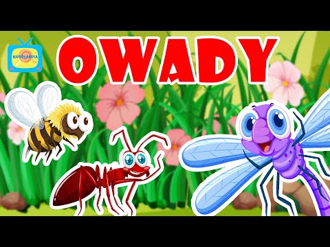 Wideo: Lekcja o owadach – uczenie dzieci o robakach w ogrodzie