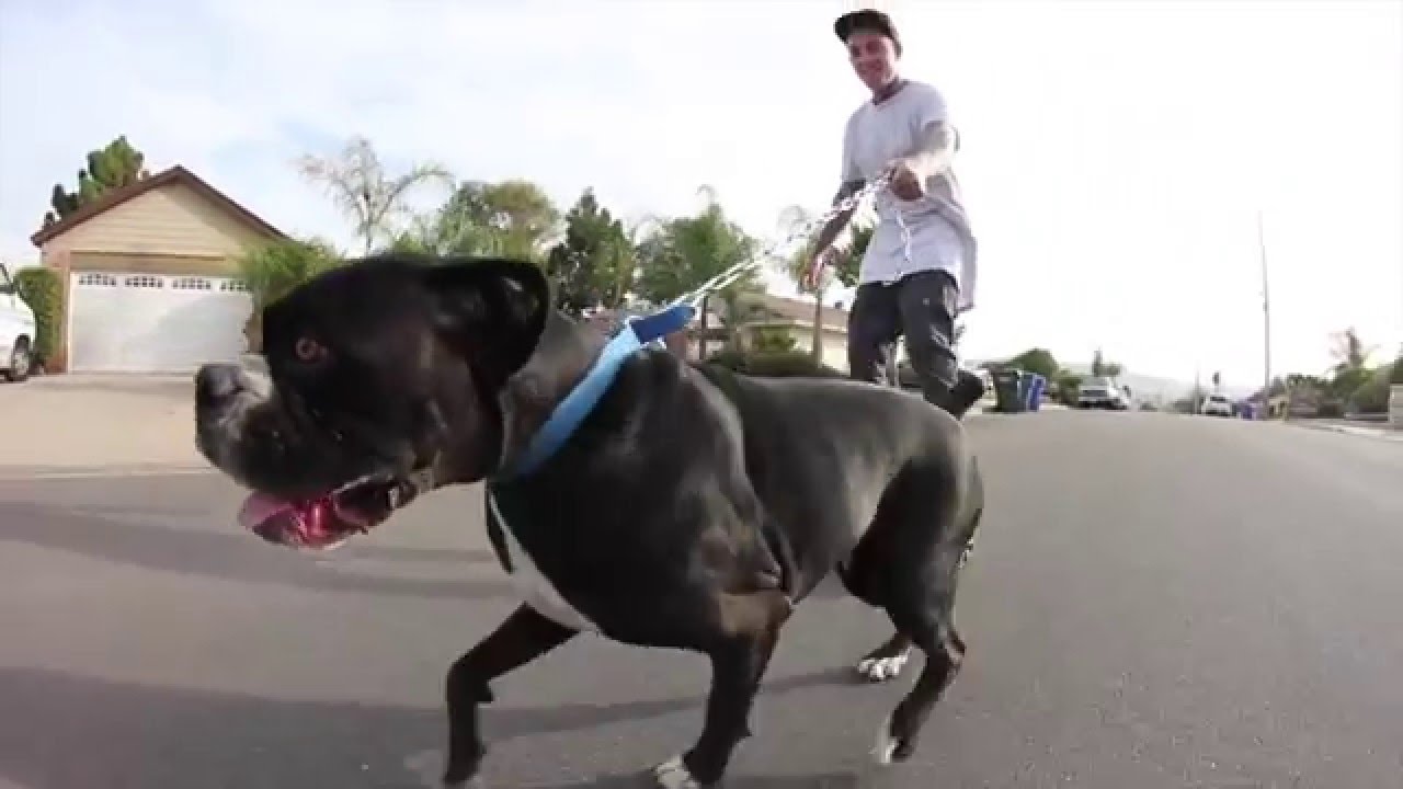 Extreme Action sports | 