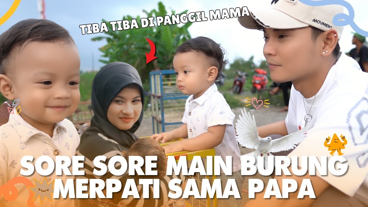 Main Burung Merpati sama Papa