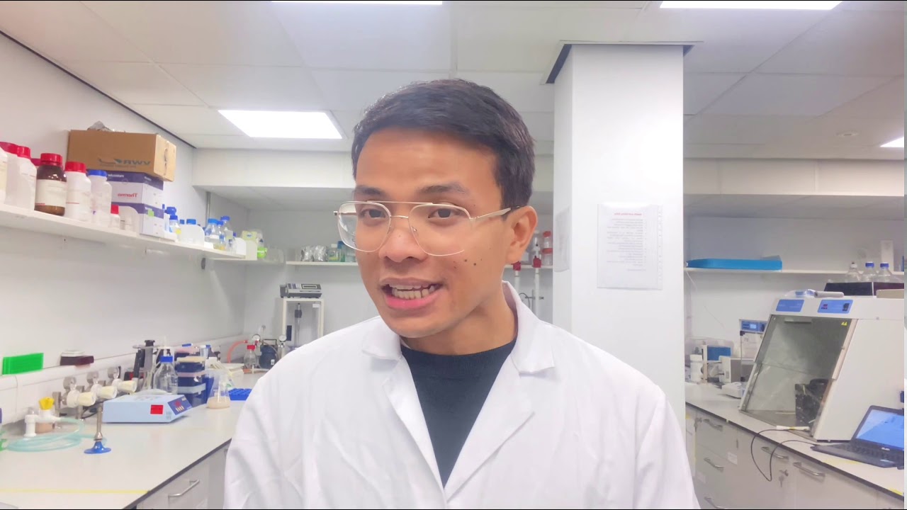 Protein and metabolic engineering for pharmaceutical and industrial applications