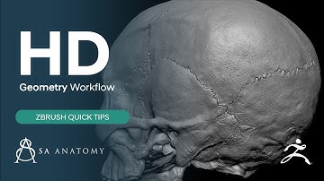 How We Use HD Geometry In ZBrush Workflow (Quick Tip 3)