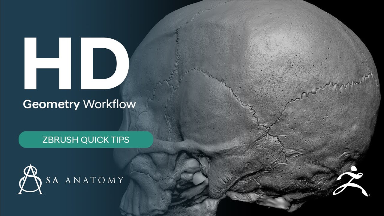 geometry hd to gemotry zbrush