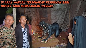 BABI NGEPET DIARAK WARGA SETELAH TERTANGKAP BASAH!!