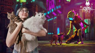 картинка: TarelkO проходит Stray и умиляется с котика 24 минуты