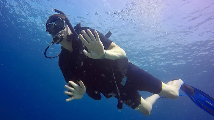 Learn how to scuba dive | The 5 essential diving skills - DayDayNews