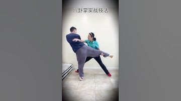 Baguazhang combat skills