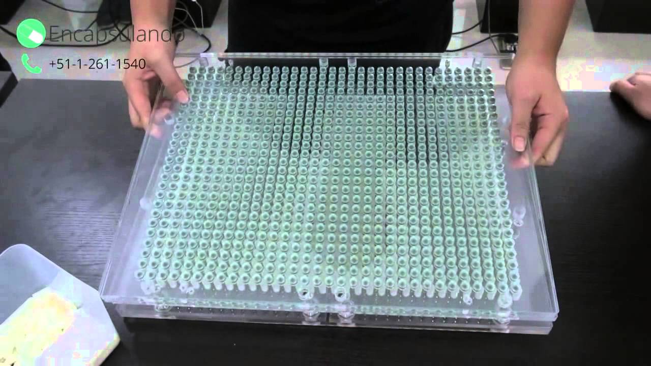 Encapsuladora Manual de 800 capsulas - Encapsulando