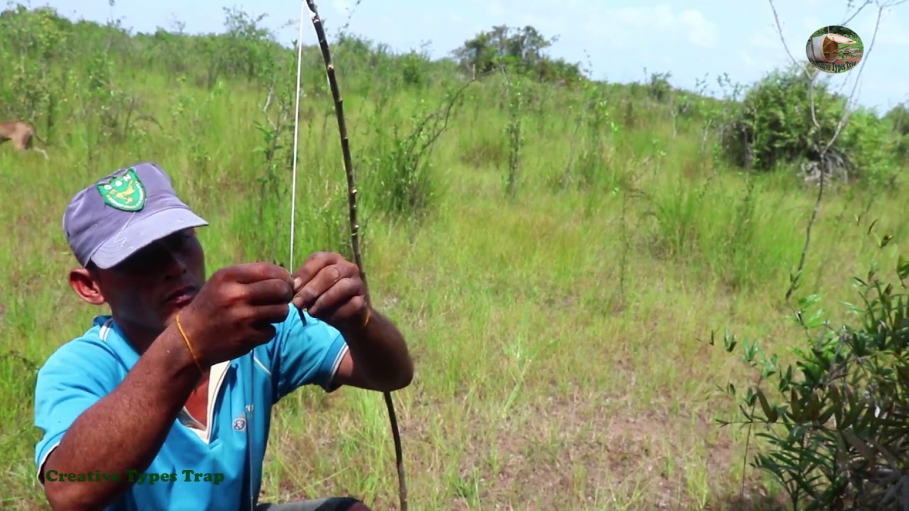 Wow!!! The Incredible Quick Used Knife Bird Trap - How To Trap a Bird That Work 100%