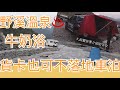 多功能貨卡變身露營車、阿嬤ok不落地車泊分享Amarok Camper modification sharing