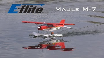 E-Flite Maule M-7 Floatplane Fun