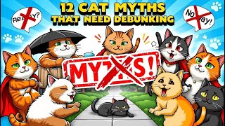 🐾 Twelve Cat Myths That Need Debunking! 🐾