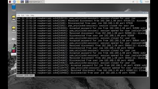 Celebrity Check For Failed SSH Logins on Raspberry Pi 5 Wealth