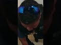 She f---ed up. GEEZ: Cops  #bodycam #arrest #cops #police #videos #assault