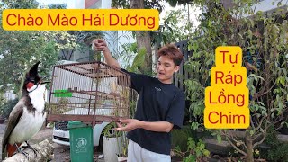 Tự ráp Lồng Chim Chào Mào cho em chim Chào Mào Hải Dương | Mạc Văn Khoa , Chim Cá Cảnh