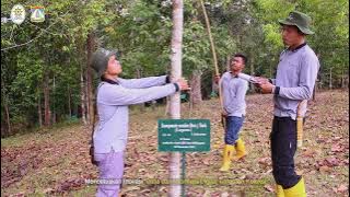 INOVASI DIGITASI KEBUN RAYA BALIKPAPAN - TOP 99 KIPP 2021