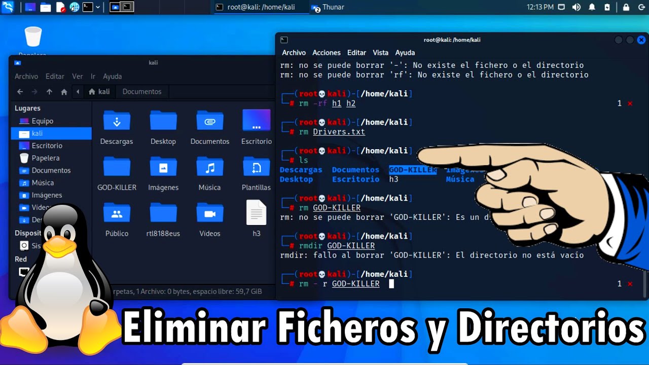 🗑️ Cómo BORRAR Archivos, Carpetas y Directorios en la Terminal de Linux ...