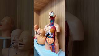 Inside RMU Morphology Campus | MBBS Lab Tour Kyrgyzstan 🩺 🔥 #admissionconsultant