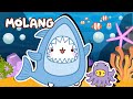 MOLANG y Piu Piu | Un DIA bajo EL MAR ⭐🌊 | Capítulos COMPLETOS | DIBUJOS para NIÑOS