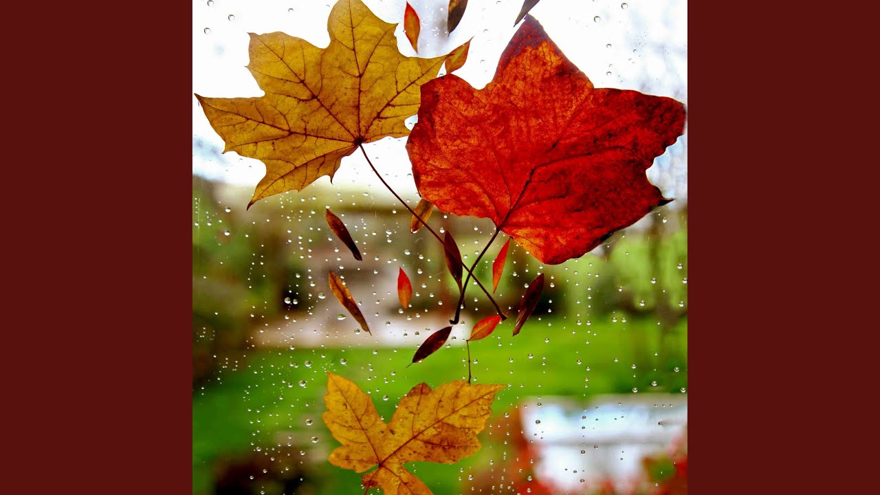 Brittle Glass Rain YouTube