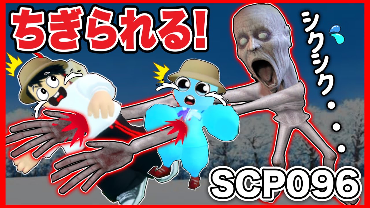 SCP] What happened when the famous Crybaby SCP that tears your