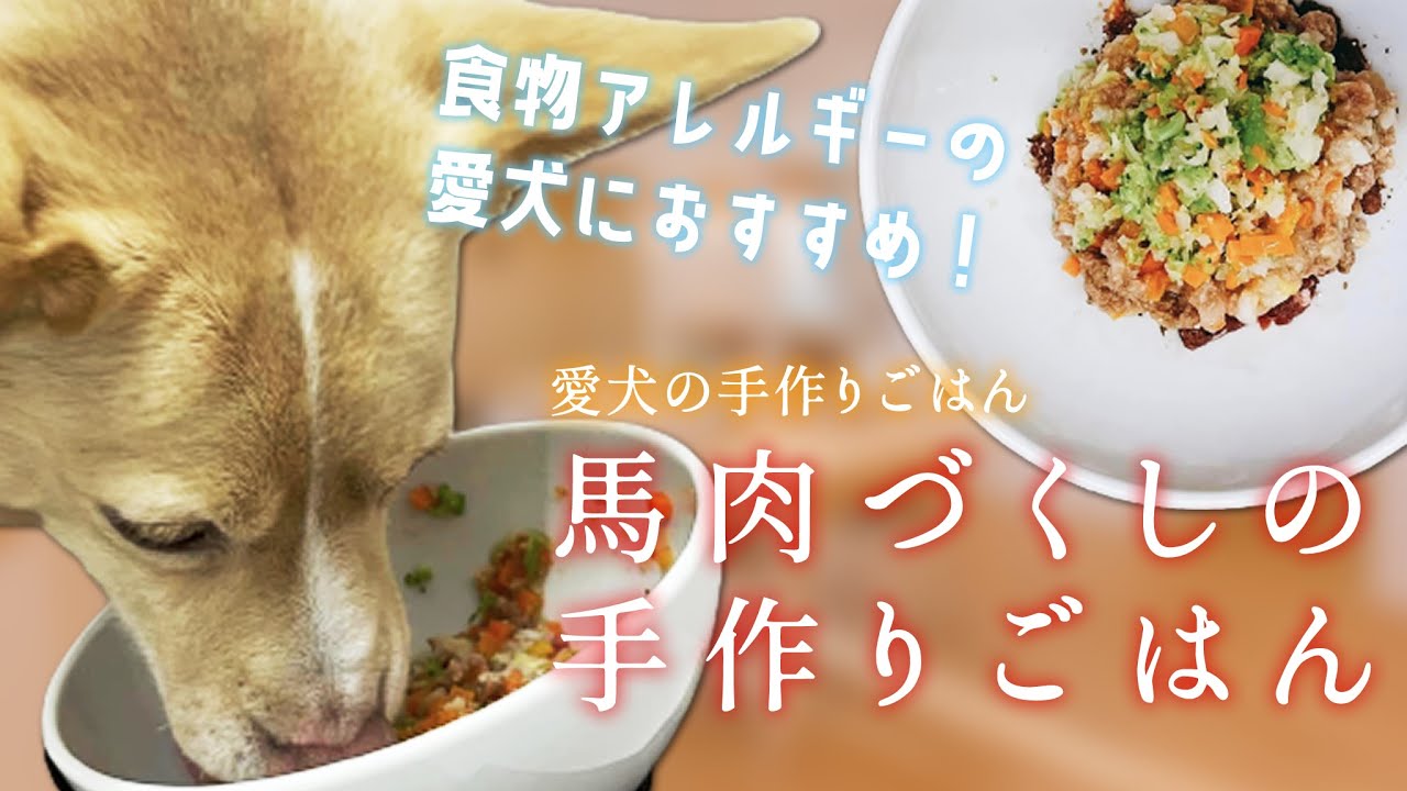 簡単手作り犬ご飯 食物アレルギーの愛犬におすすめ 馬肉づくしの手作りごはん 帝塚山ハウンドカム Youtube