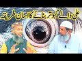 Ali walay kabootar  original ali walay kabootar  ali walay kabootar eyes  amjad ali official