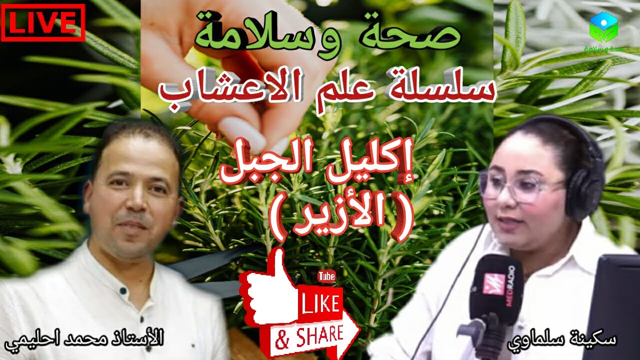 🔴 سلسلة علم الاعشاب 🌿إكليل الجبل( الأزير )🌿الفوائد والقيمة الغذائية الأستاذ محمد أحليمي أخصائي تغذية