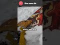 He found a snowboarder