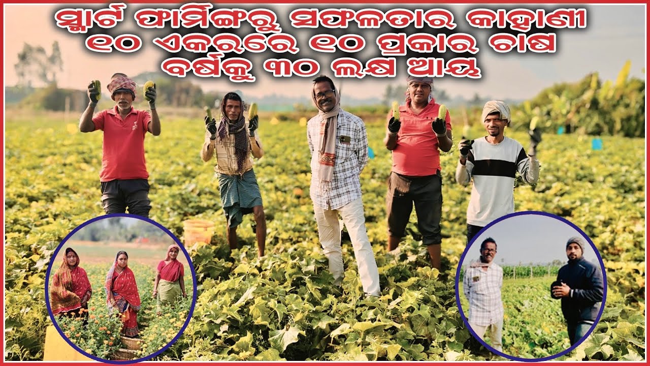 ଜାଜପୁର ଜିଲ୍ଲା କୃଷକଙ୍କର ମାସକୁ ୩ ଲକ୍ଷ ଆୟ/ 10 Acre Farming | 10 Crops Mixed Farming Model In Odisha