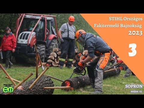 Saras versenyt nyertek a Hanyi Hódok, EB-re indulnak a Roth diákjai - STIHL favágó verseny Sopronban