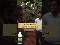 செவ்வாழை குறைந்த செலவில் நிறைவான மகசூல் #agriculture #farming #microbi  #organicfarming