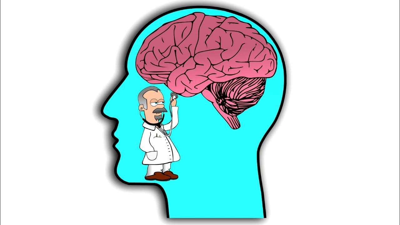 Мозги управляют чувствами. Связь между пальцами и мозгом. Островок мозга. Мозг не чувствует. Мозг не чувствует.