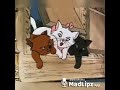 Funny cats cartoons dubbed in Marathi