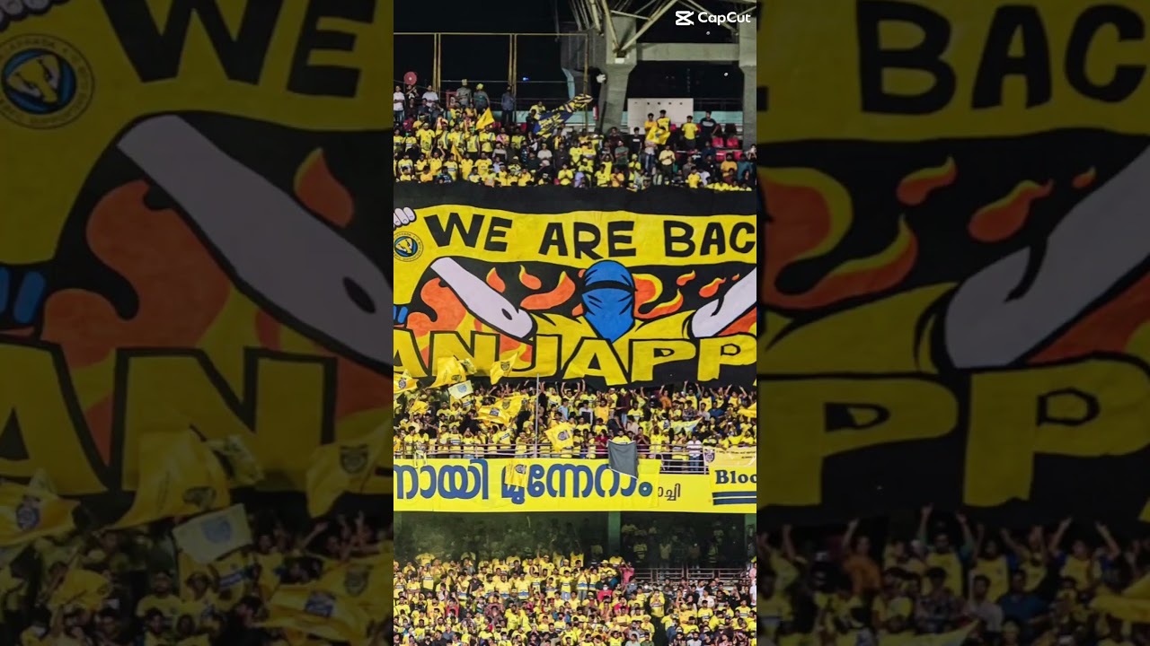 💛Fans , the real fans💛 