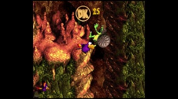 Buzzer Barrage 103% Walkthrough - Donkey Kong Country 3 Dixie Kong